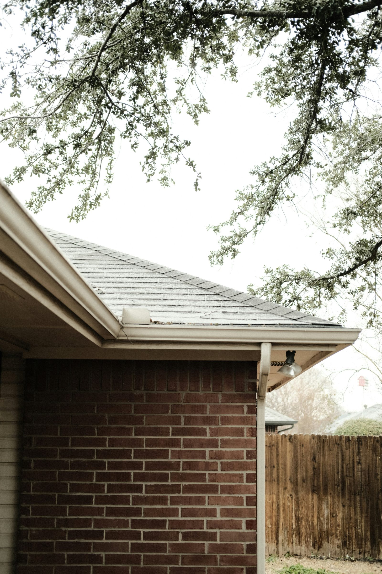 Close-up of a home's roofline and gutter along the eaves
